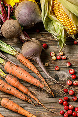 Image showing Scattered cranberries and vegetables