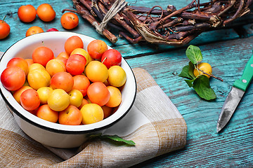 Image showing autumn cherry plum