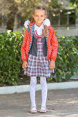 Image showing Portrait of a seven-year high school girls at school