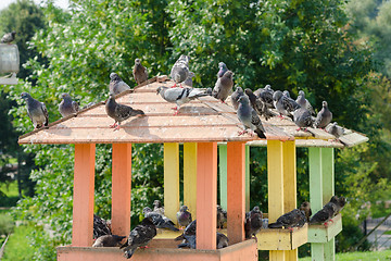 Image showing The roof of a wooden pigeon with pigeons sitting on it