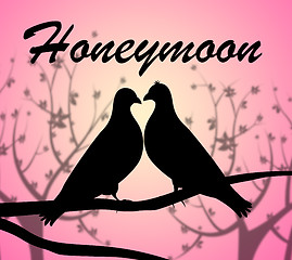 Image showing Honeymoon Doves Means Love Birds And Break