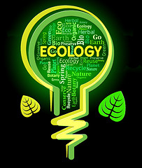 Image showing Ecology Words Represents Light Bulb And Earth