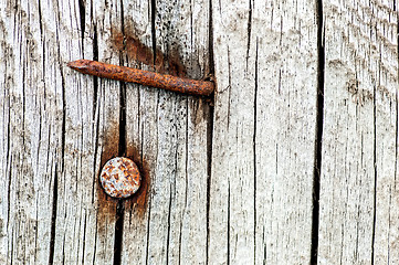 Image showing Rusty nails in an old cracked wood