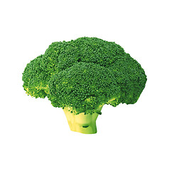 Image showing fresh green broccoli isolated