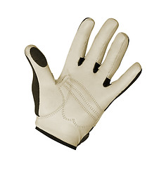 Image showing Golf Glove