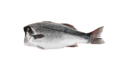 Image showing fish without head 