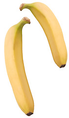 Image showing Two ripe bananas