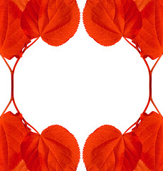 Image showing Frame of red autumn leaves