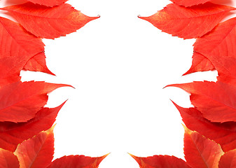 Image showing Frame of autumn leaves background with copy space