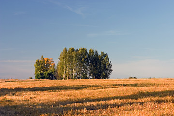 Image showing Summer landscape