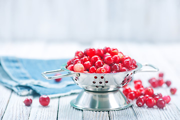 Image showing fresh cranberry