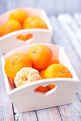 Image showing tangerines