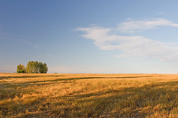 Image showing Summer landscape