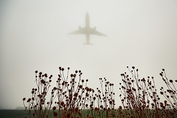 Image showing Airplane in thick fog