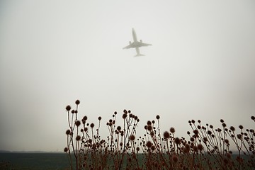 Image showing Airplane in thick fog