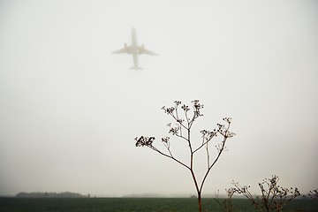 Image showing Airplane in thick fog