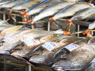 Image showing The Tuna Harbor in General Santos City