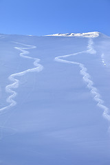 Image showing Two traces from ski on off-piste slope in sun early morning