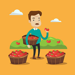 Image showing Farmer collecting tomatos vector illustration.