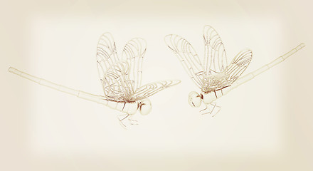 Image showing Dragonfly. 3D illustration. Vintage style.