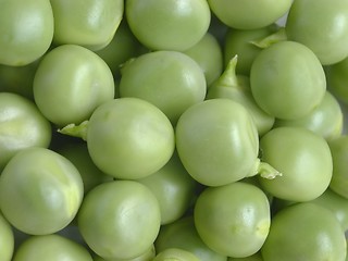 Image showing Pea