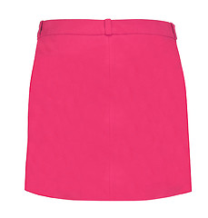 Image showing Skirt