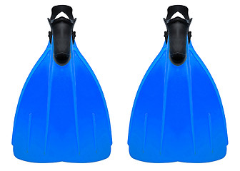 Image showing Blue flippers