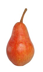 Image showing Pear