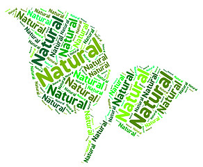 Image showing Natural Word Means Bio Rural And Environment