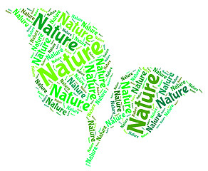 Image showing Nature Word Means Environment Environmental And Tree