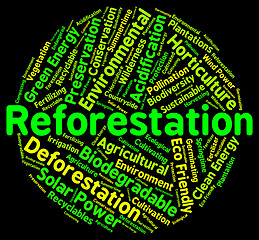 Image showing Reforestation Word Shows Again Woodlands And Words