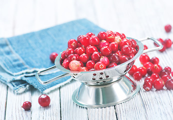 Image showing fresh cranberry