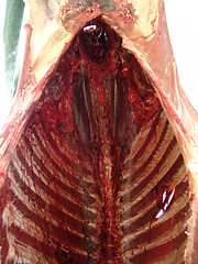 Image showing carcass