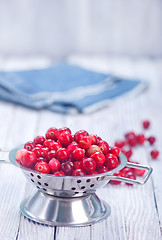 Image showing fresh cranberry