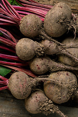 Image showing Beets with earth soil on roots