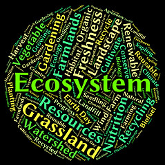 Image showing Ecosystem word shows eco biosystem and ecology