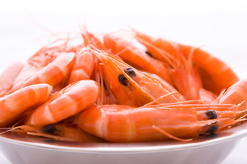 Image showing Prawns