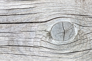 Image showing Old cracked wood with knots