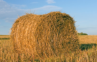 Image showing Hayrick, haystack