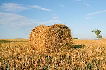 Image showing Hayrick, haystack