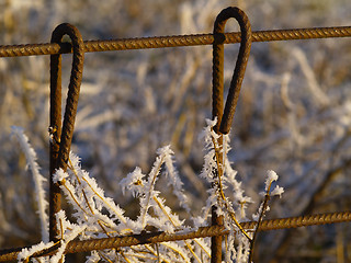 Image showing Frost