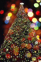 Image showing christmas tree from xmas lights