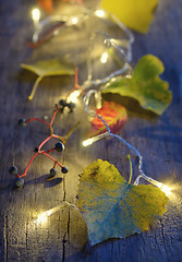 Image showing Autumn leaves on wooden board