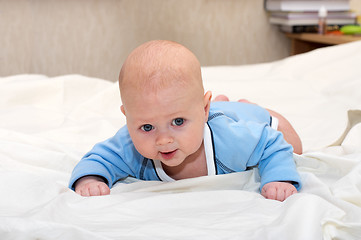 Image showing Baby explores the world