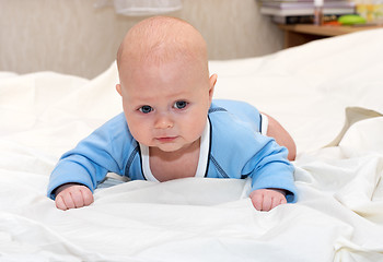 Image showing Baby explores the world