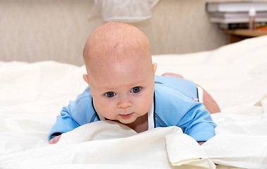 Image showing Baby explores the world