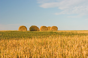 Image showing Hayrick