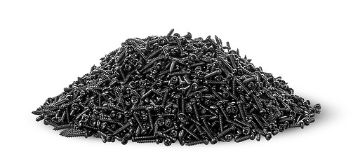 Image showing In front heap of screws