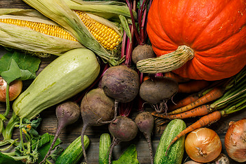 Image showing Close-up of different vegetables