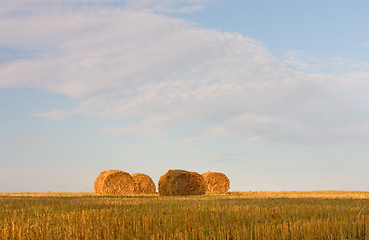Image showing Hayrick, haystack